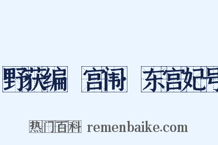 野获编·宫闱·东宫妃号是什么意思的图片